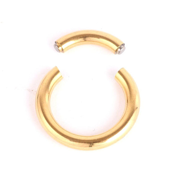 Steel Segment Nose Rings
